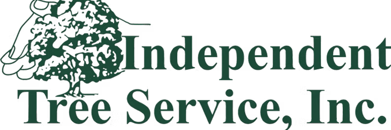 The image features a logo for "Independent Tree Service, Inc." with a stylized tree design next to the company name in green.