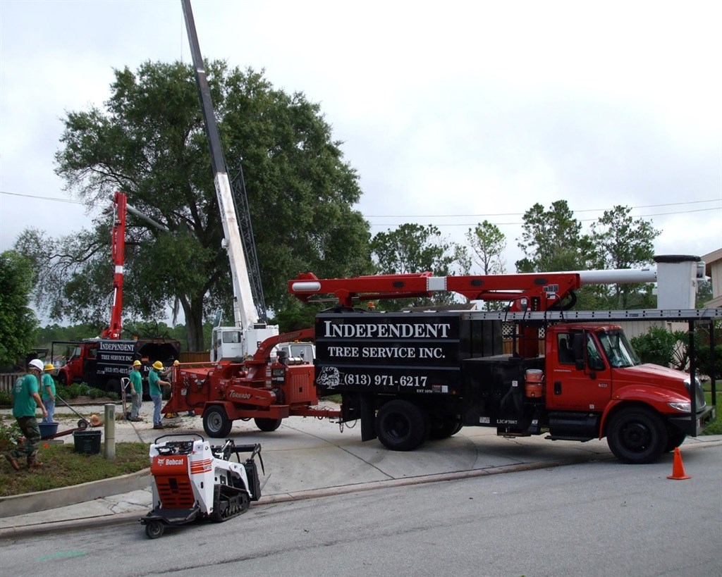 Tree service crew working with cranes and equipment on residential street. Several people in green vests are coordinating the operation near large truck.