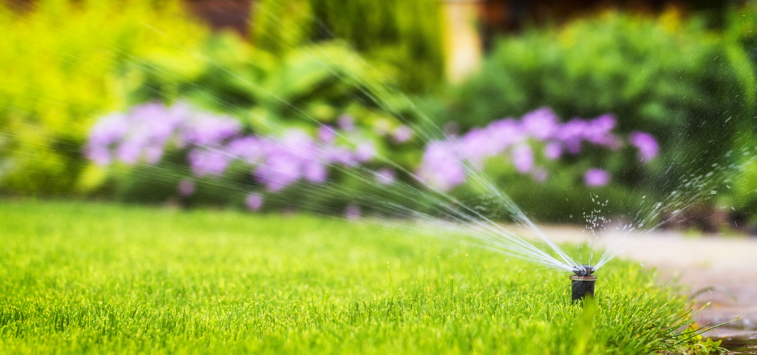 A garden with a sprinkler watering vibrant green grass and purple flowers, surrounded by lush greenery and a blurred, sunny background.