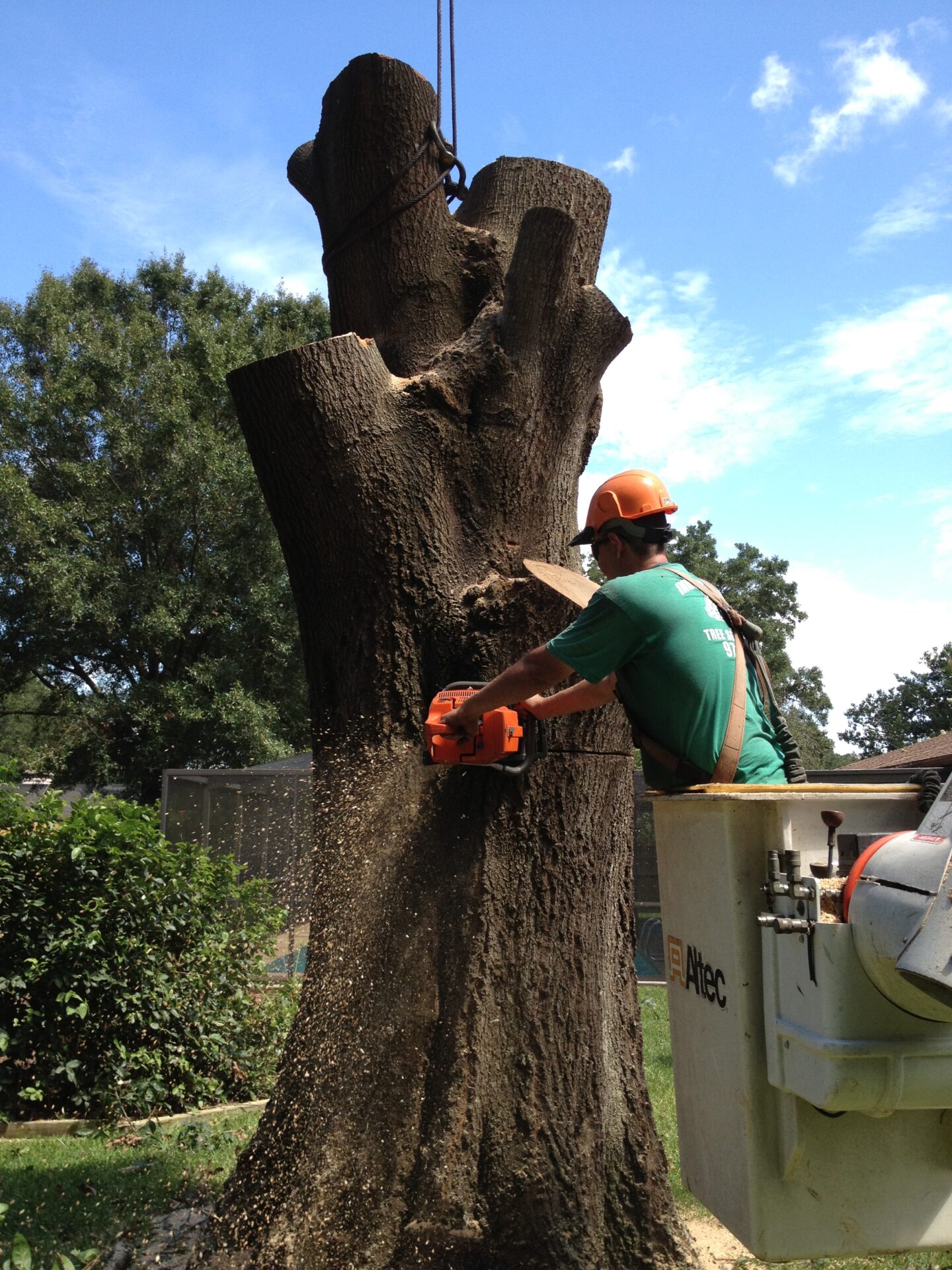 A person uses a chainsaw to cut a large tree trunk, standing in a bucket lift. Green foliage and blue sky surround them.