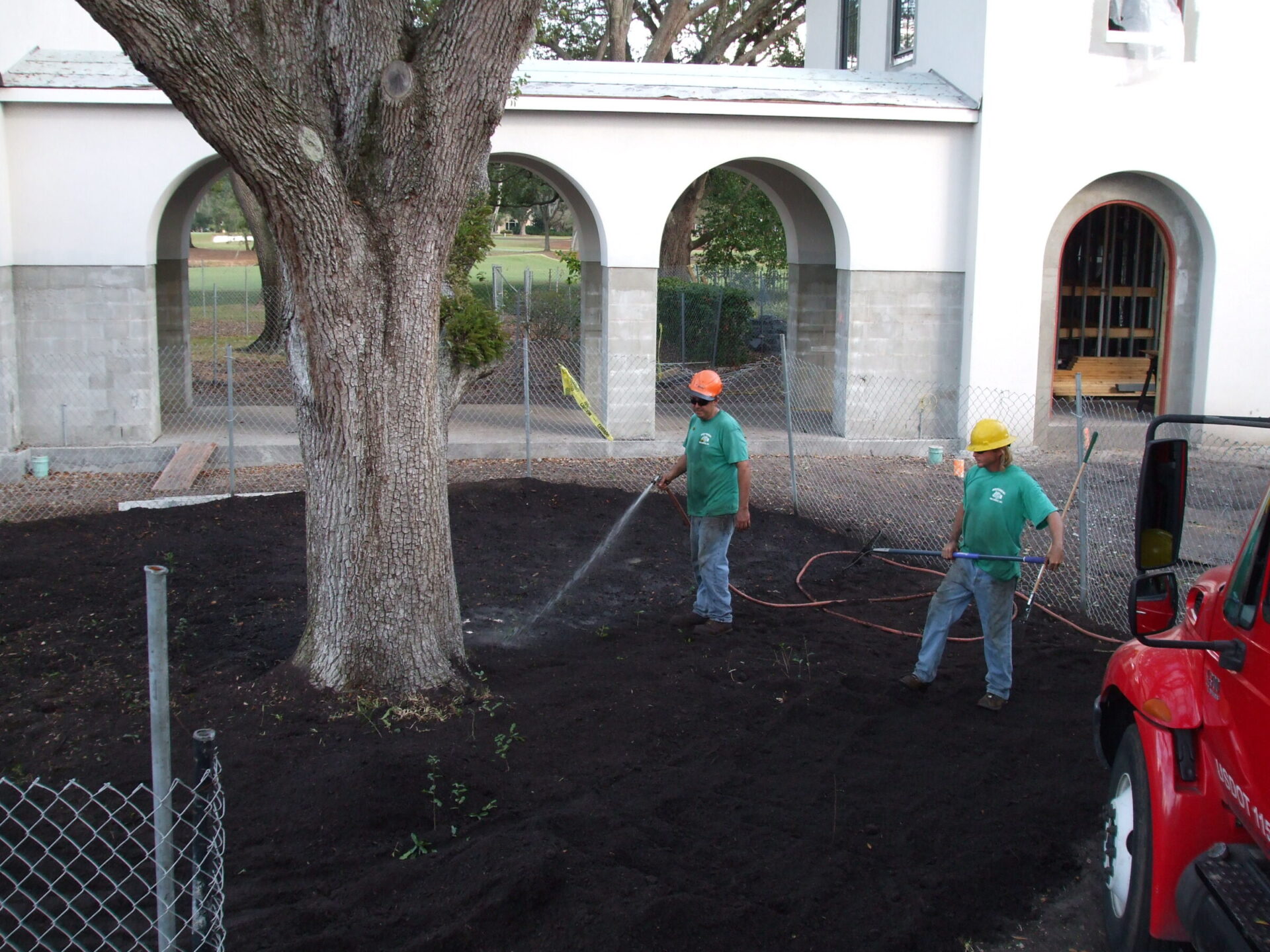 Two people wearing helmets are watering soil around a large tree. They stand near a building with arches, fenced off for landscaping.