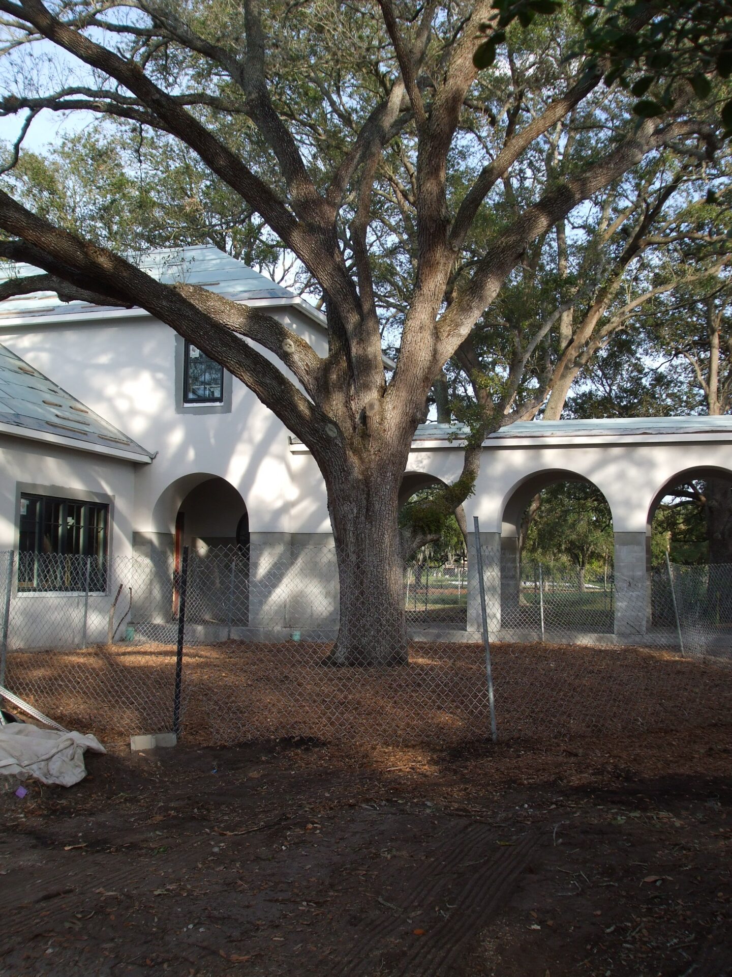 A large tree stands in front of a white building with arches, surrounded by a wire fence in a wooded area.