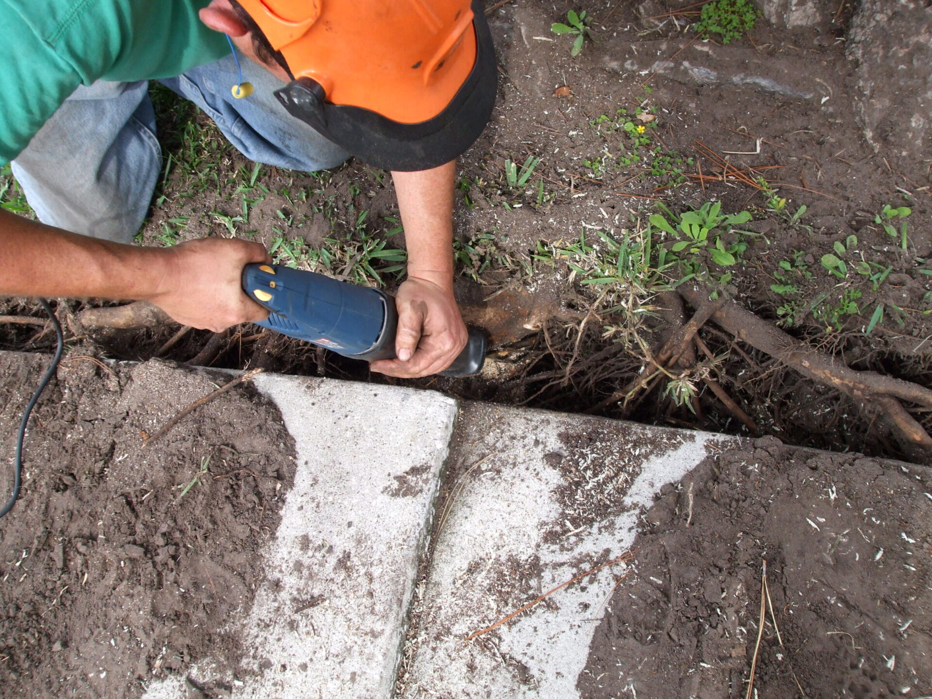 A person in an orange helmet uses a drill to work on a tree root near a concrete surface in a garden setting.