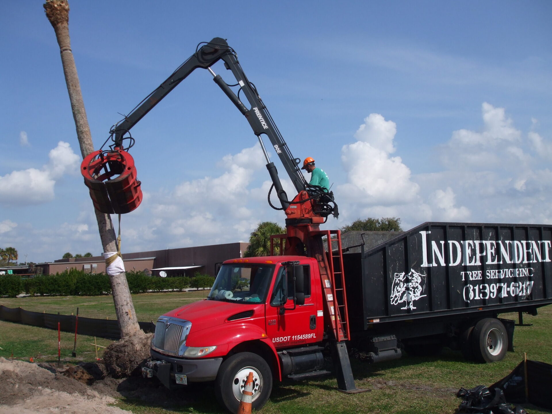 A person operates heavy machinery to lift a tree into a truck labeled "Independent Tree Service" on a bright sunny day.