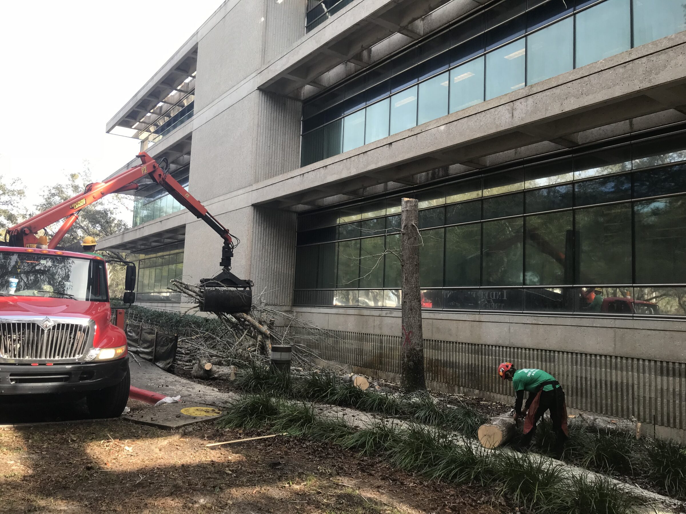 A red truck and person removing fallen tree debris in front of a modern building, using a crane for assistance.