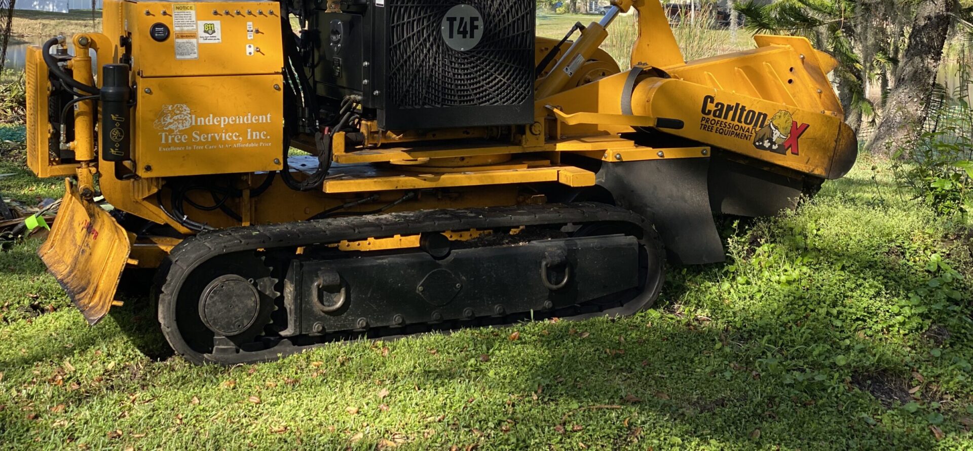 A yellow Carlton stump grinder is on a grassy area, surrounded by trees. Labels indicate it belongs to Independent Tree Service, Inc.