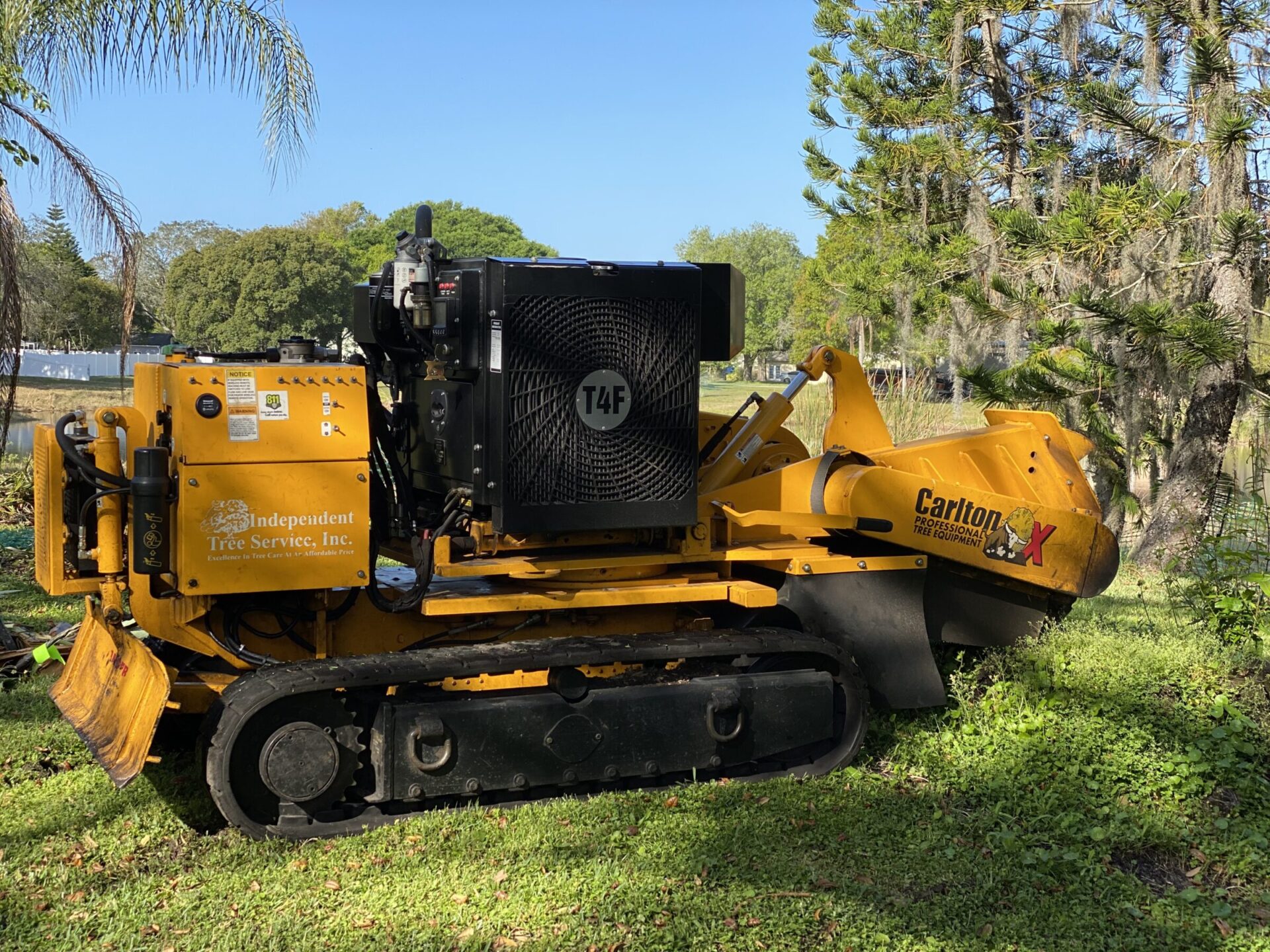 Yellow industrial tree stump grinder in a grassy area near a lake, surrounded by trees and sunlight. No recognizable landmarks or buildings.