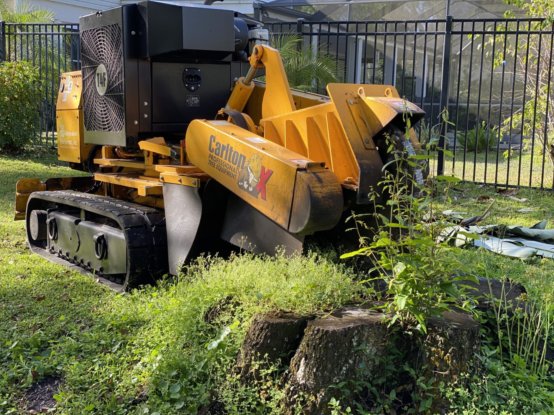 A yellow stump grinder sits in a grassy yard. It is near a large tree stump, with a black fence in the background.