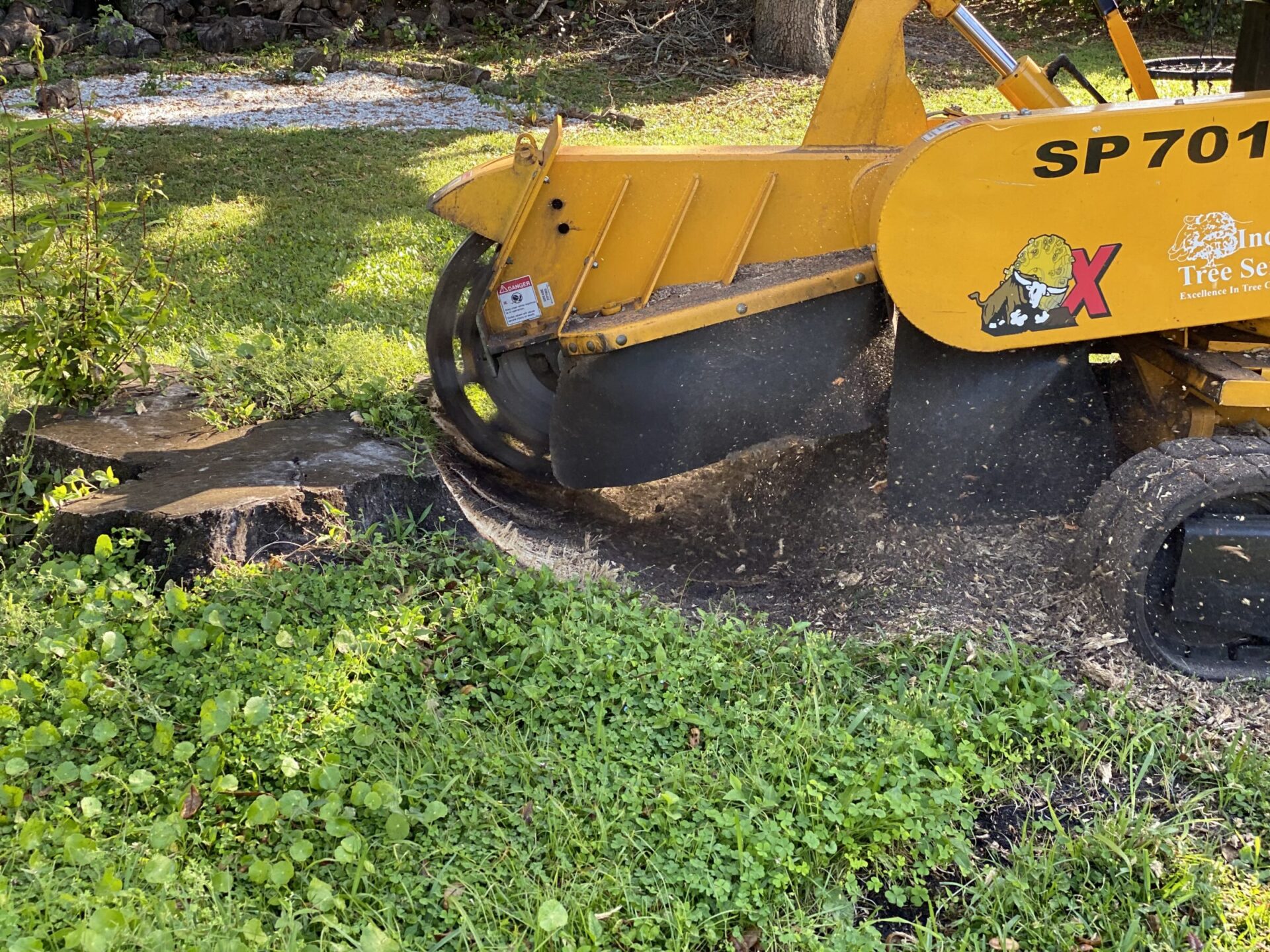 A yellow stump grinder is actively working on a tree stump in a grassy yard, scattering wood chips around the area.