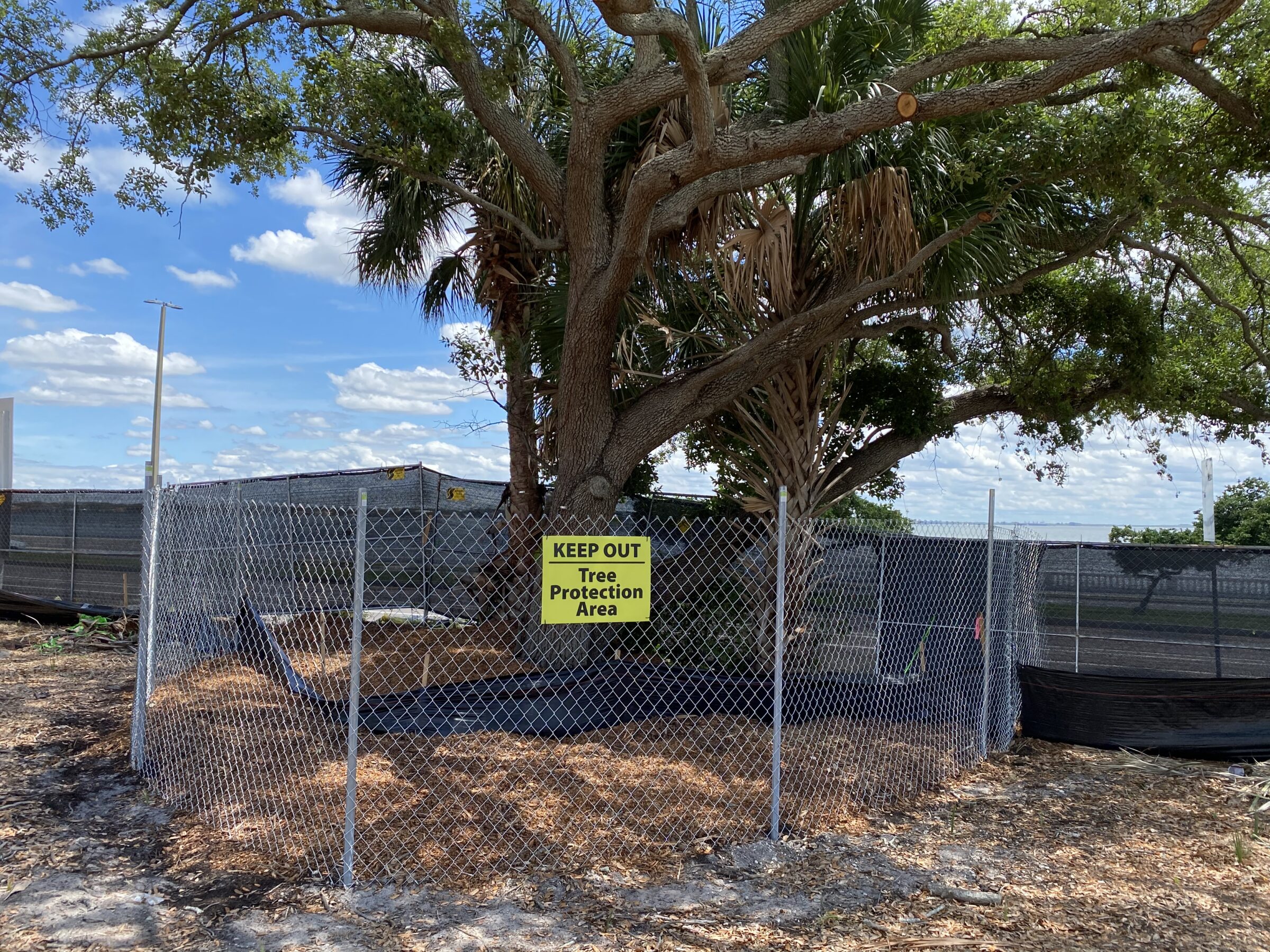 A fenced area surrounds a large tree with a "Keep Out, Tree Protection Area" sign. The background features a cloudy sky.