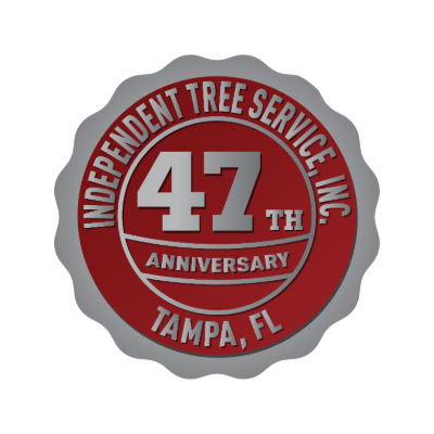 Red and gray logo for "Independent Tree Service, Inc." celebrating 47th anniversary in Tampa, FL. Circular design with bold text and border.