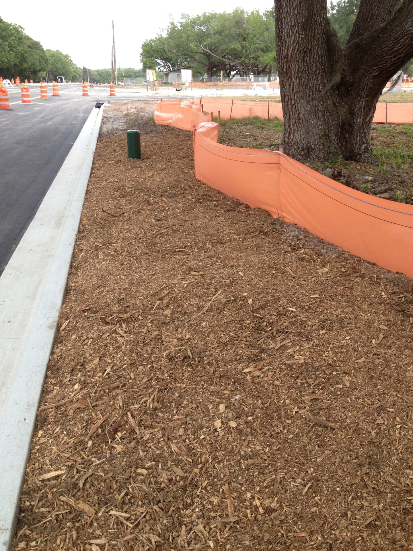 Road construction scene with orange barriers, mulch-covered ground, and trees. No people present. Urban environment with traffic cones along the street.