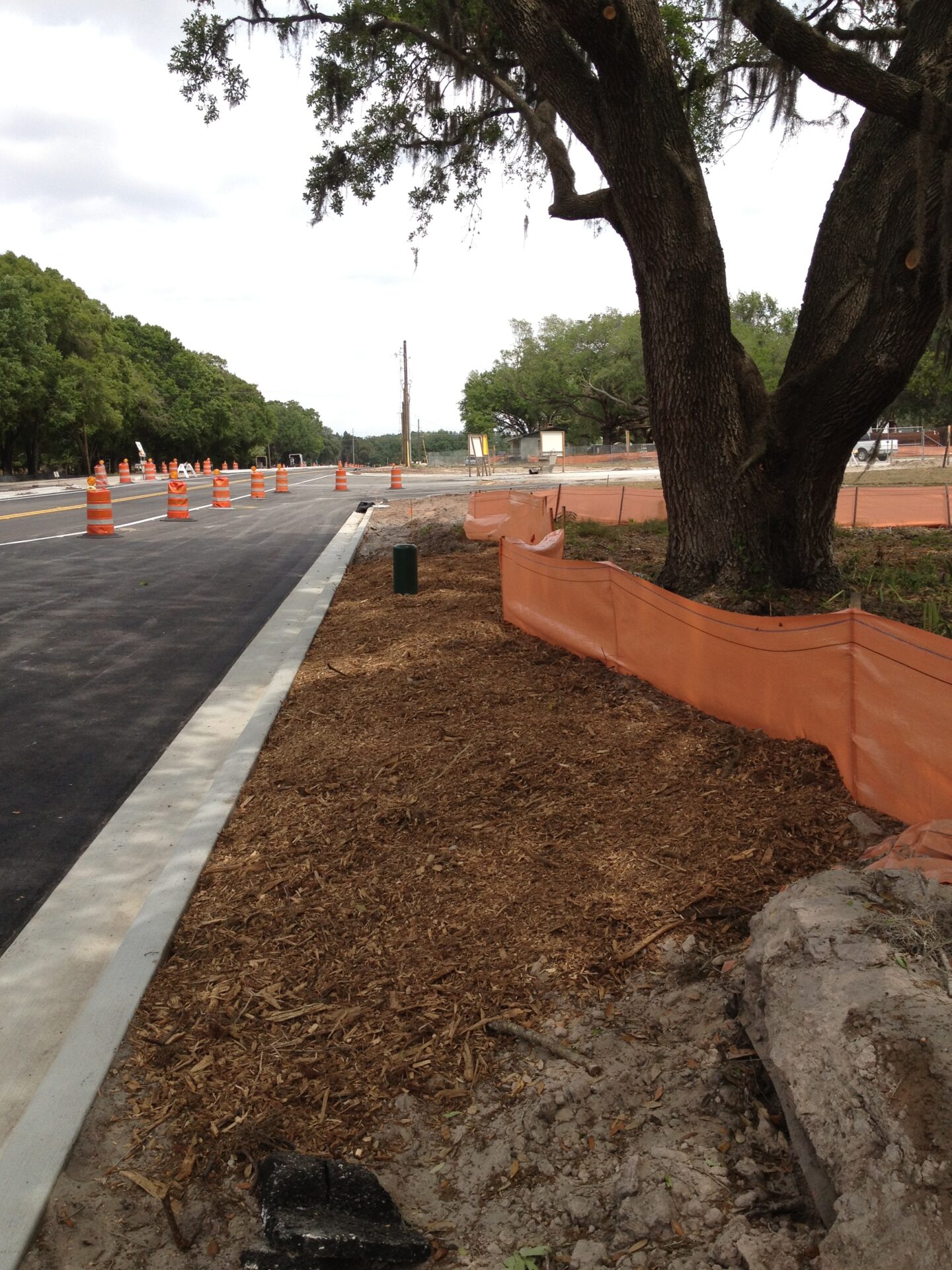 Construction site beside a road with orange safety barriers and traffic cones, large tree, and surrounding greenery in a rural area.