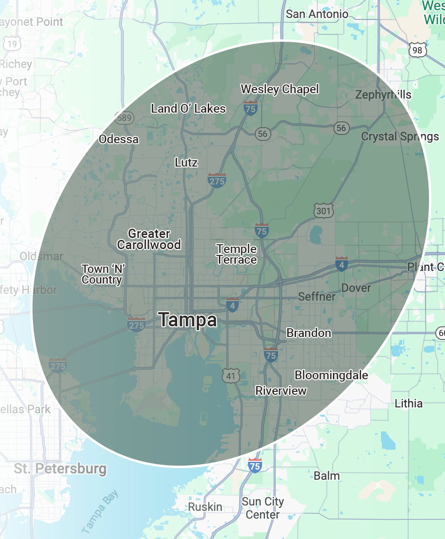 Map highlighting Tampa and surrounding areas, including Wesley Chapel, Brandon, and Riverview. Major highways I-75 and I-275 are depicted.