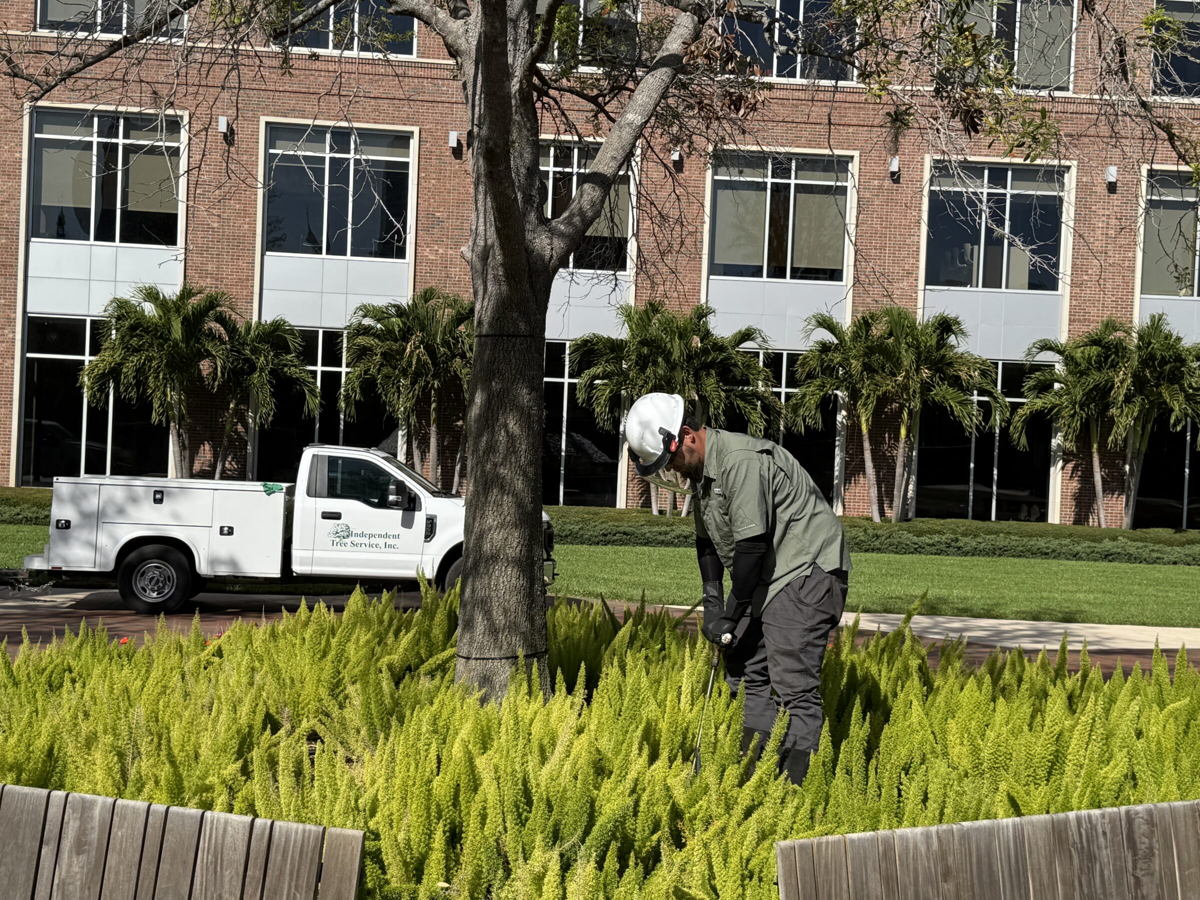 A person in work attire tends to plants by a tree. A truck and brick building are visible in the background.