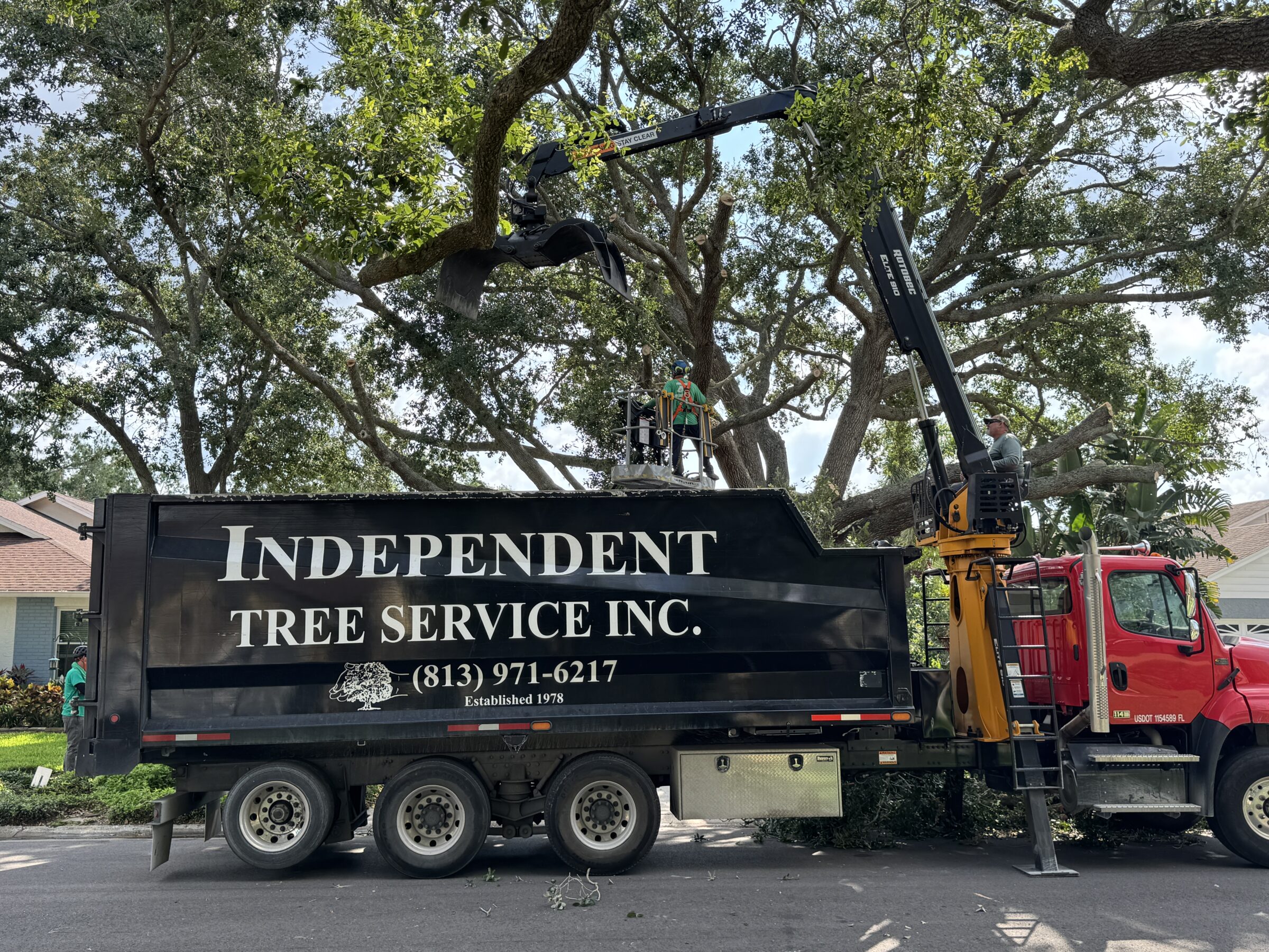 A tree service truck is parked on a residential street. A person trims tree branches using equipment, surrounded by lush greenery.