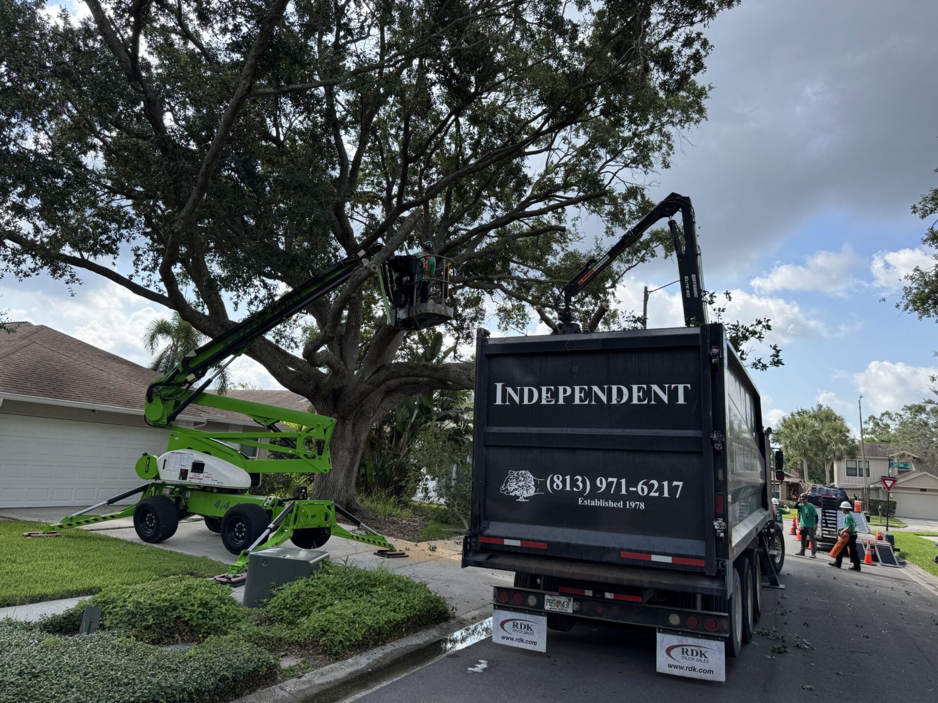 A tree service truck and equipment parked on a suburban street. A person operates a lift to trim branches from a large tree to help implement measures from our hurricane tree preparedness guide.