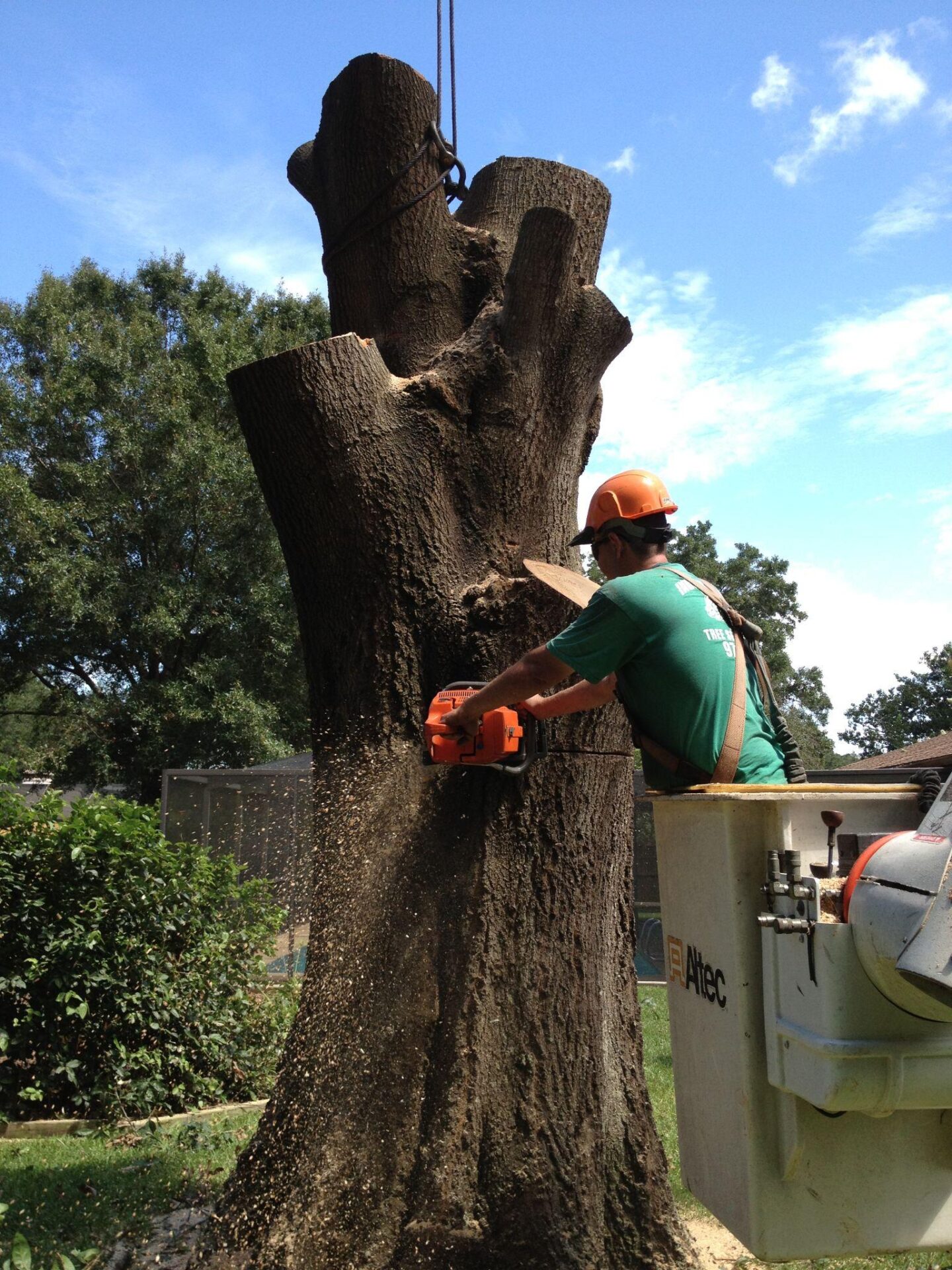 Arborist in a bucket lift cutting a large tree trunk with a chainsaw.