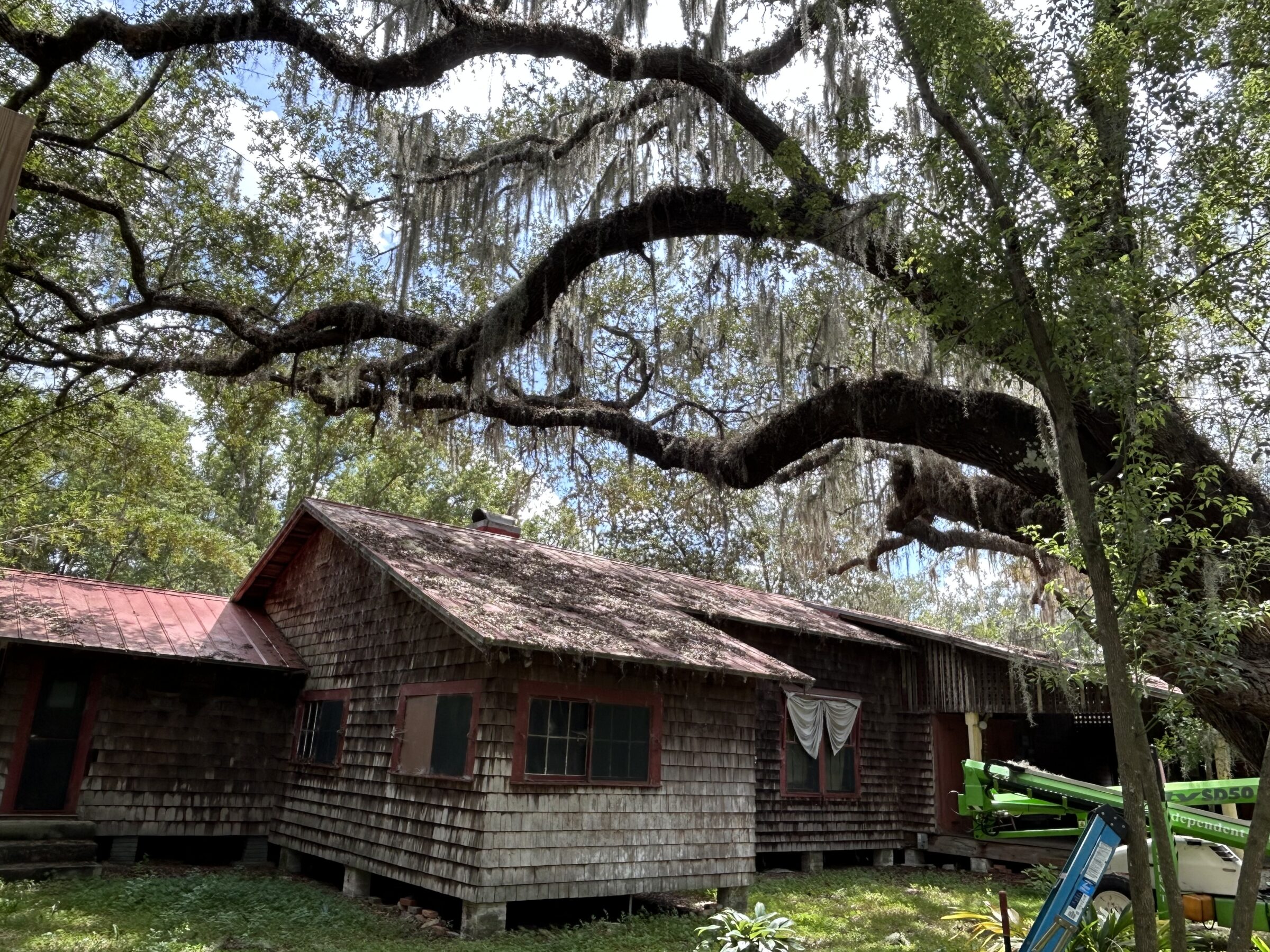A rustic wooden building surrounded by lush trees draped with Spanish moss, under a bright sky.